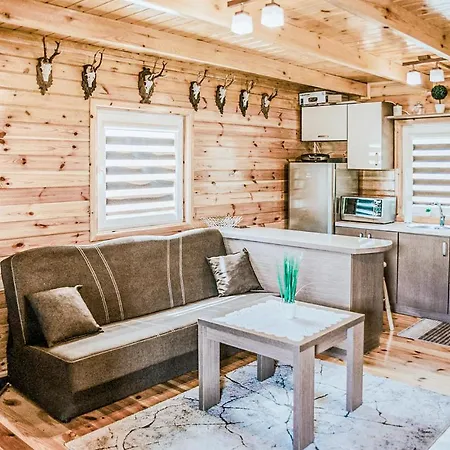 Nice Home In Wegorzewo With Sauna