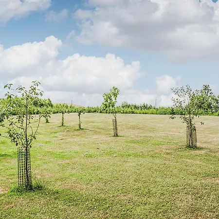 Tatil Evi Nice Home In Wegorzewo With Sauna