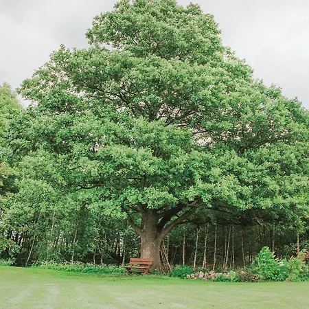 בית נופש In Wegorzewo With Sauna *