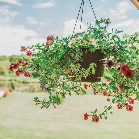 Tatil Evi Nice Home In Wegorzewo With Sauna *