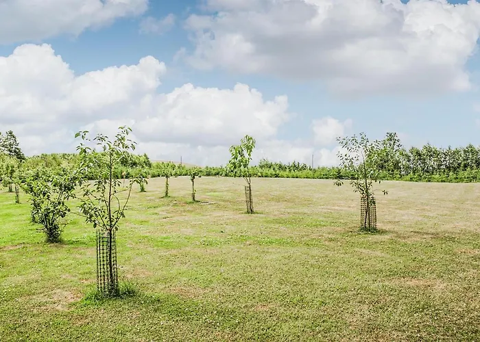 Дом отдыха In With Sauna