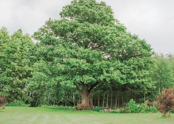 Дом отдыха In With Sauna *